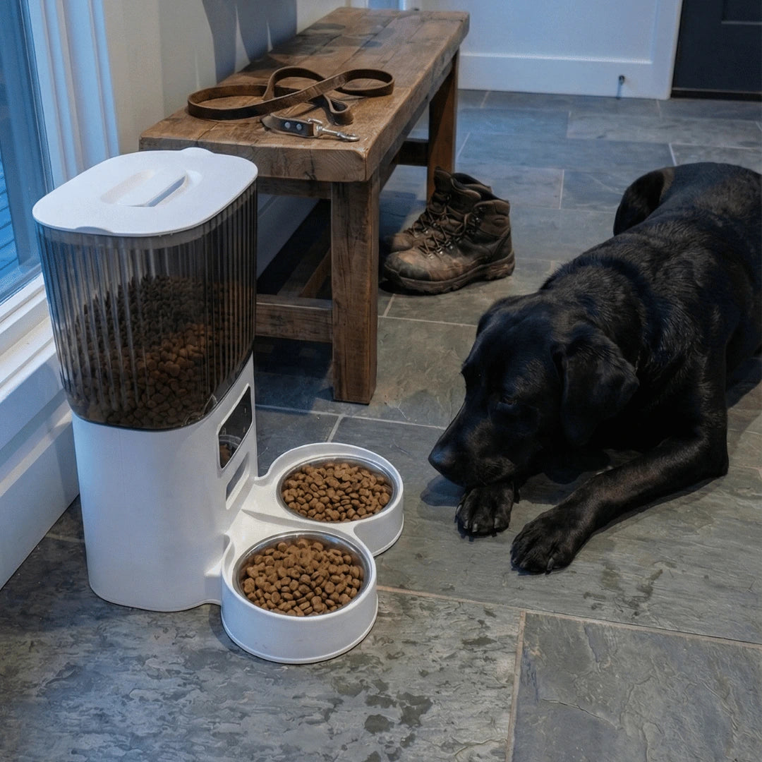 PurrfectTimer™ - Automatic Pet Feeder