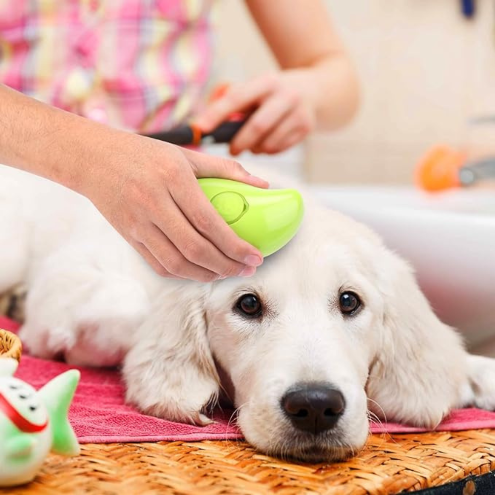 FluffyBud™ - Pet Steam Brush