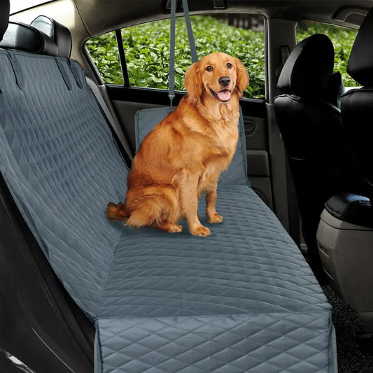 PawProtect™ - Anti Scratch Pet Cover